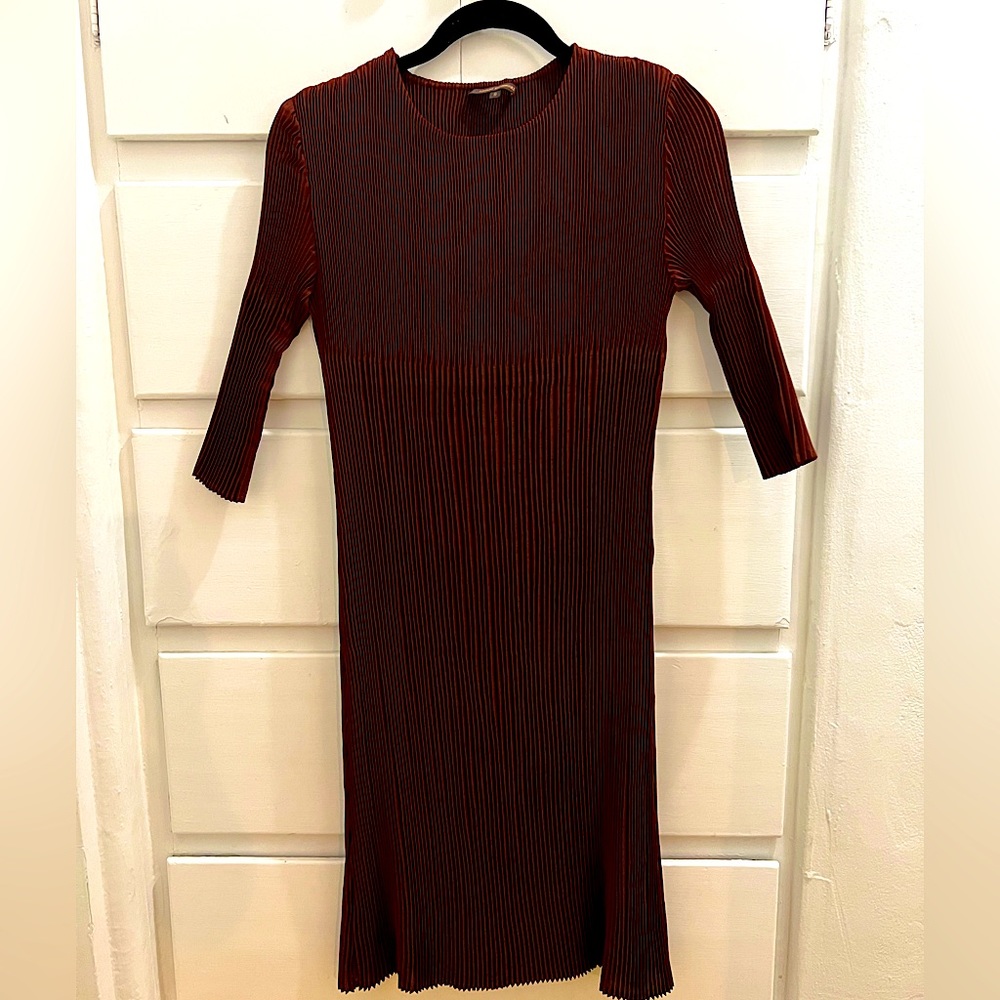 Adolfo Domínguez acordian dress size small.
